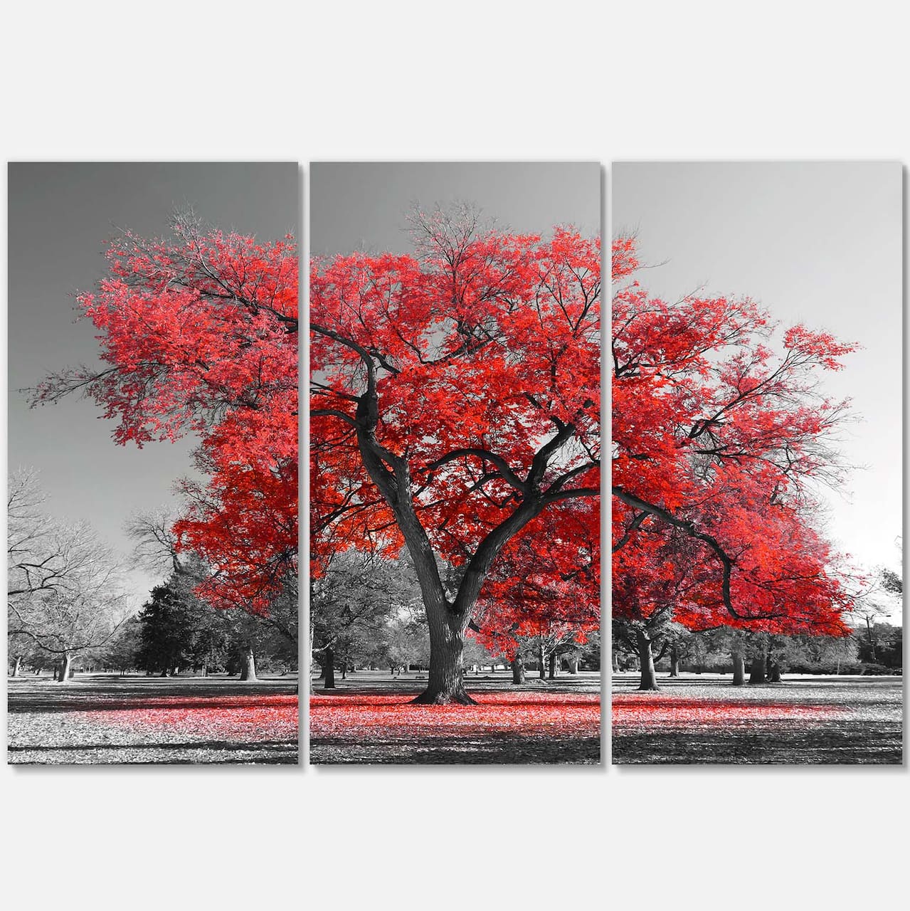 Designart - Big Red Tree on Foggy Day - Landscape Canvas Art Print